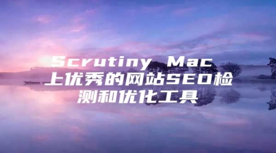 Scrutiny Mac 上优秀的网站SEO检测和优化工具