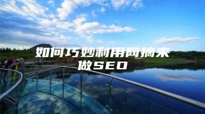 如何巧妙利用网摘来做SEO