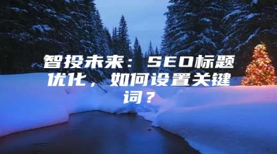 智投未来：SEO标题优化，如何设置关键词？
