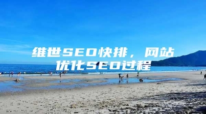 维世SEO快排，网站优化SEO过程
