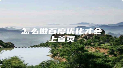 怎么做百度优化才会上首页