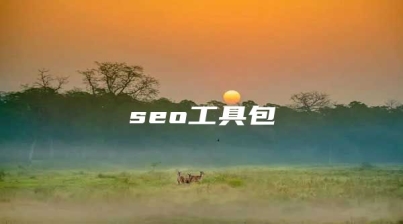 seo工具包