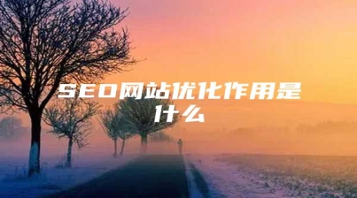 SEO网站优化作用是什么