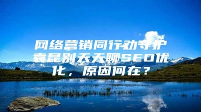 网络营销同行劝守护袁昆别天天聊SEO优化，原因何在？