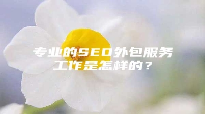 专业的SEO外包服务工作是怎样的？