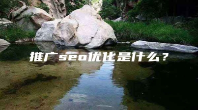 推广seo优化是什么？