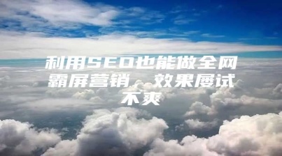 利用SEO也能做全网霸屏营销，效果屡试不爽