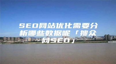 SEO网站优化需要分析哪些数据呢「搜众网SEO」