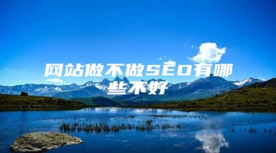 网站做不做SEO有哪些不好