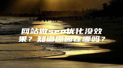 网站做seo优化没效果？知道原因在哪吗？