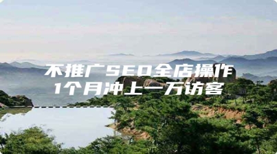 不推广SEO全店操作1个月冲上一万访客
