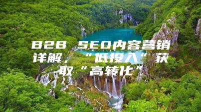 B2B SEO内容营销详解，“低投入”获取“高转化”