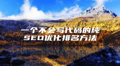 一个不会写代码的纯SEO优化排名方法