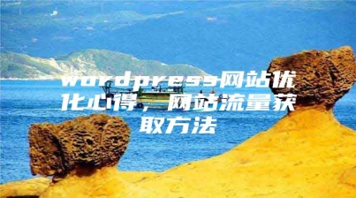 wordpress网站优化心得，网站流量获取方法