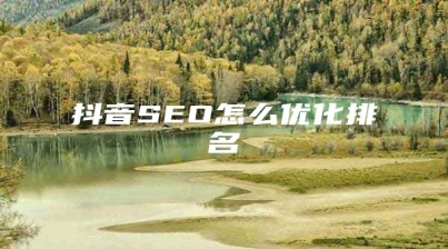 抖音SEO怎么优化排名