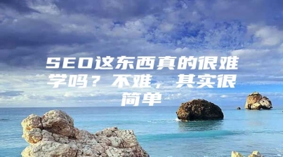 SEO这东西真的很难学吗？不难，其实很简单