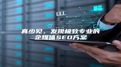 真少见，发现极致专业的企媒体SEO方案