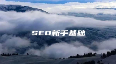 SEO新手基础