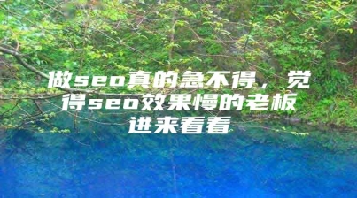 做seo真的急不得，觉得seo效果慢的老板进来看看