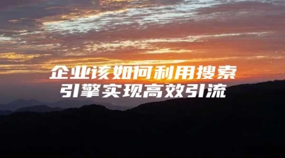 企业该如何利用搜索引擎实现高效引流
