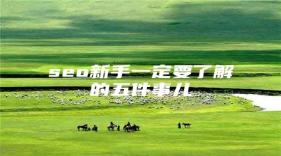 seo新手一定要了解的五件事儿