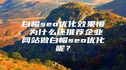白帽seo优化效果慢 为什么还推荐企业网站做白帽seo优化呢？