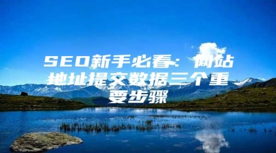 SEO新手必看：网站地址提交数据三个重要步骤