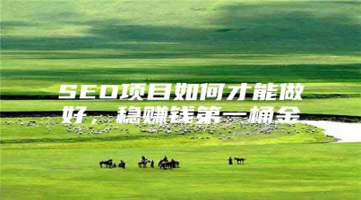 SEO项目如何才能做好，稳赚钱第一桶金