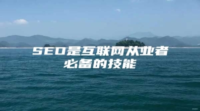 SEO是互联网从业者必备的技能