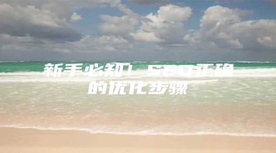 新手必知！SEO正确的优化步骤