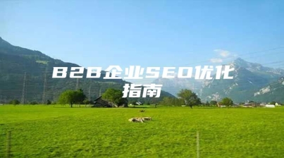 B2B企业SEO优化指南