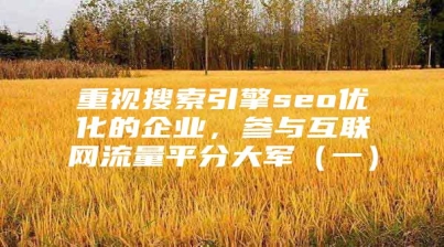 重视搜索引擎seo优化的企业，参与互联网流量平分大军（一）