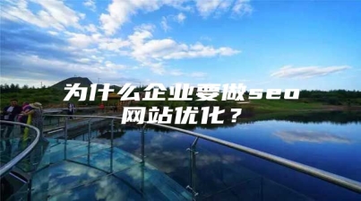 为什么企业要做seo网站优化？