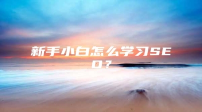 新手小白怎么学习SEO？