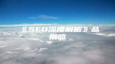 《SEO深度解析》品后感