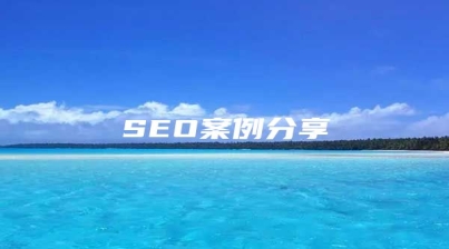 SEO案例分享