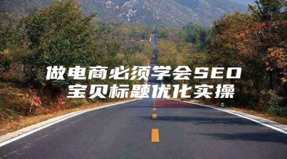 做电商必须学会SEO 宝贝标题优化实操