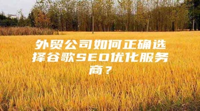 外贸公司如何正确选择谷歌SEO优化服务商？