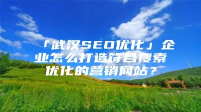 「武汉SEO优化」企业怎么打造符合搜索优化的营销网站？
