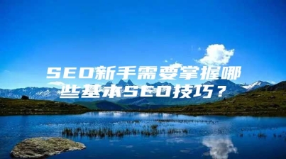 SEO新手需要掌握哪些基本SEO技巧？