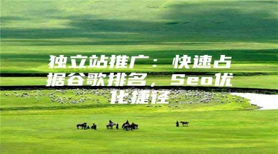 独立站推广：快速占据谷歌排名，Seo优化捷径