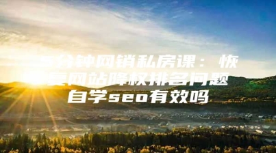5分钟网销私房课：恢复网站降权排名问题自学seo有效吗