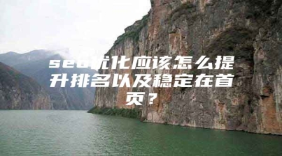 seo优化应该怎么提升排名以及稳定在首页？