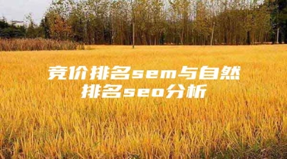 竞价排名sem与自然排名seo分析