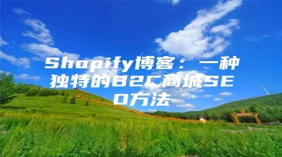 Shopify博客：一种独特的B2C商城SEO方法