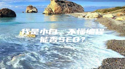 我是小白，不懂编程能否SEO？
