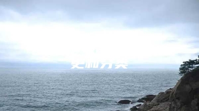 SEO搜索引擎的发展史和分类