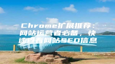 Chrome扩展推荐：网站运营者必备，快速查看网站SEO信息