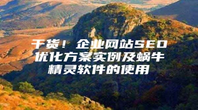 干货！企业网站SEO优化方案实例及蜗牛精灵软件的使用