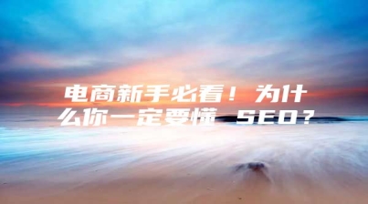 电商新手必看！为什么你一定要懂 SEO？